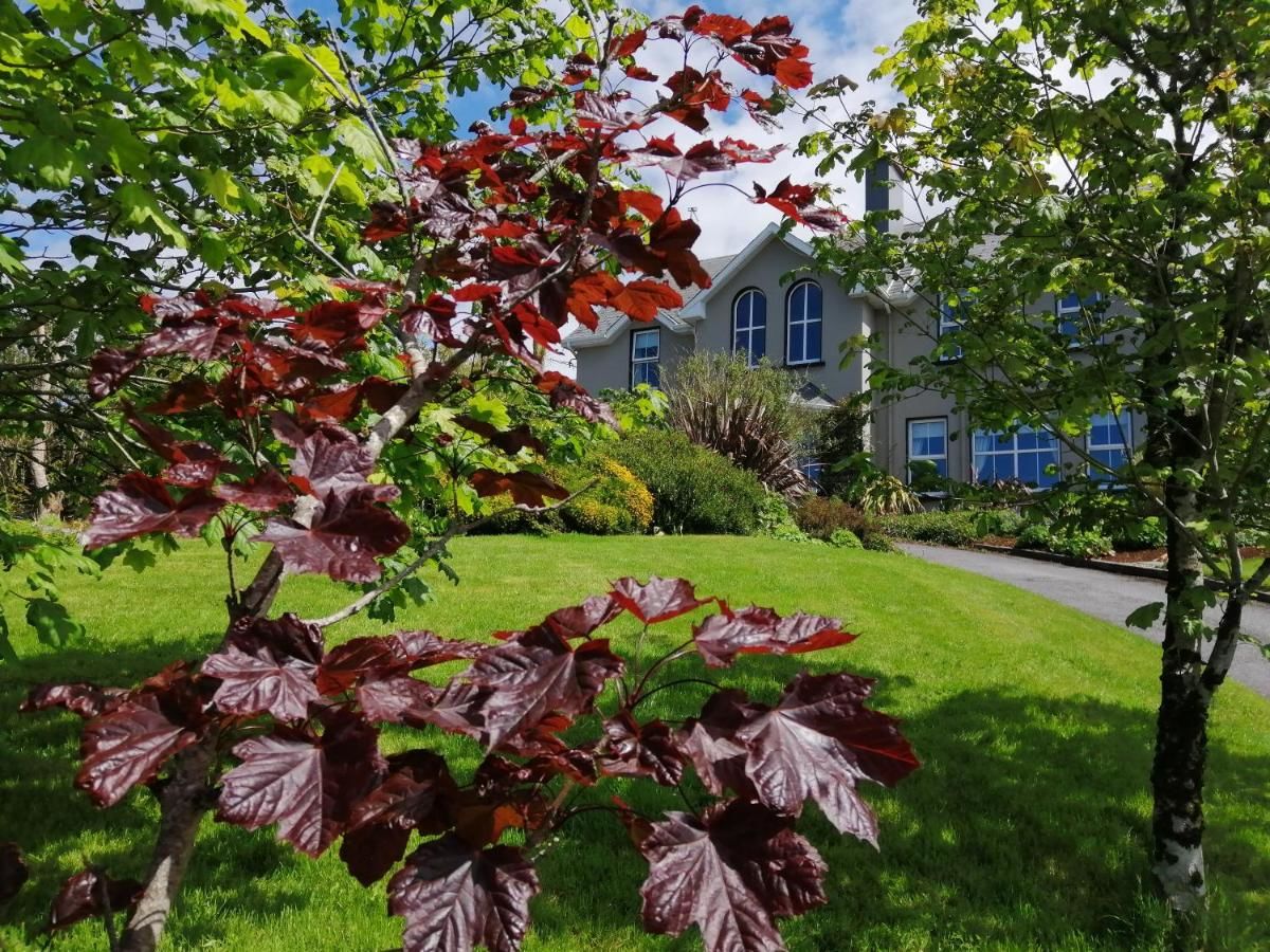 Отели типа «постель и завтрак» Ballinsheen House & Gardens Лисдунварна-4