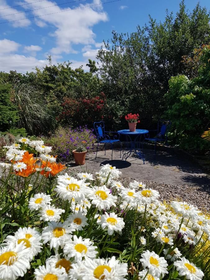 Отели типа «постель и завтрак» Ballinsheen House & Gardens Лисдунварна-16