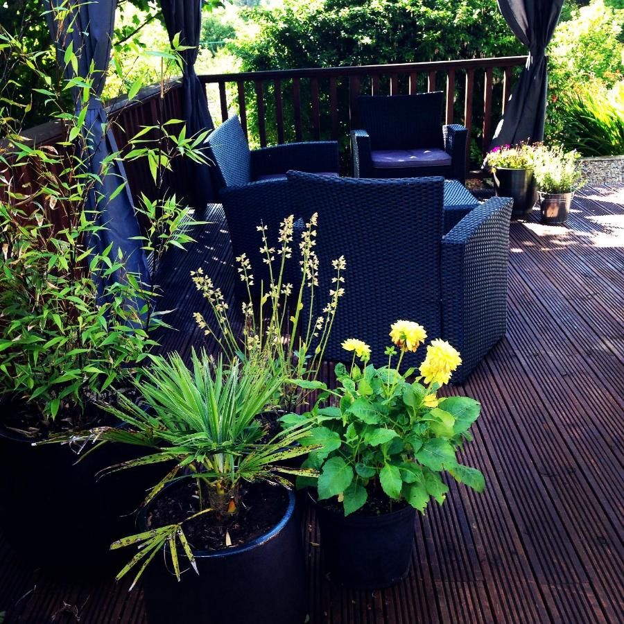 Отели типа «постель и завтрак» Ballinsheen House & Gardens Лисдунварна-34