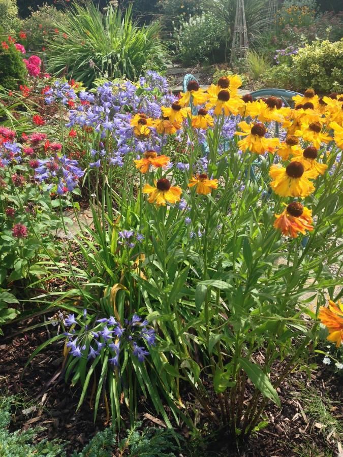 Отели типа «постель и завтрак» Ballinsheen House & Gardens Лисдунварна-37