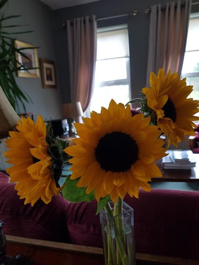 Отели типа «постель и завтрак» Ballinsheen House & Gardens Лисдунварна-12